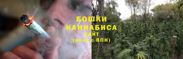 гашик Бронницы