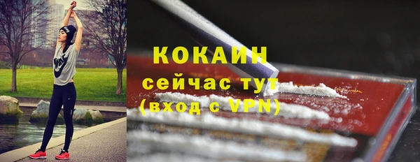 экстази Бородино