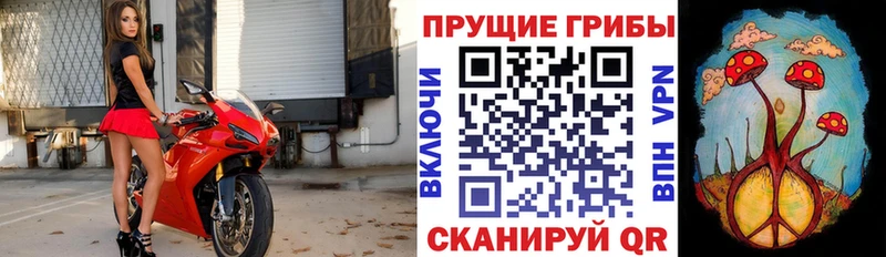 Купить закладки  Липки  Галлюциногенные грибы мухоморы 
